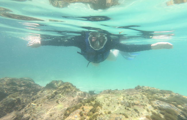 Snorkel en la playa da Sepultura + Bombinhas - Foto 2
