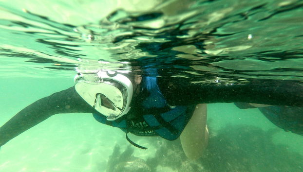 Snorkel en la playa da Sepultura + Bombinhas - Foto 3