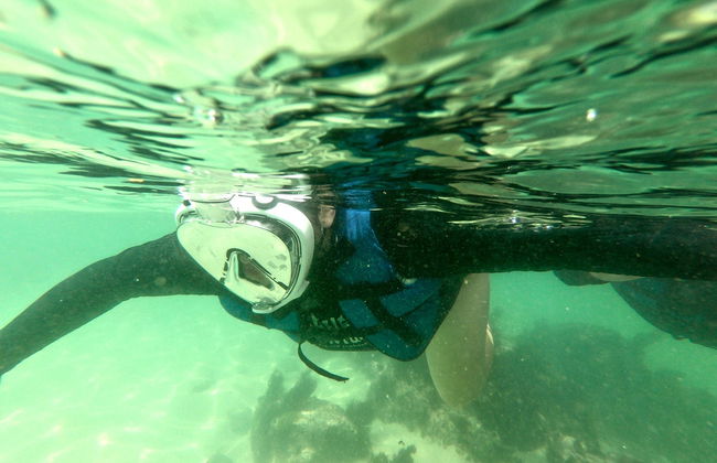 Snorkel en la playa da Sepultura + Bombinhas - Foto 3