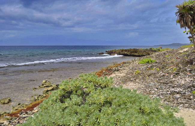 French Key Day Trip - Foto 6