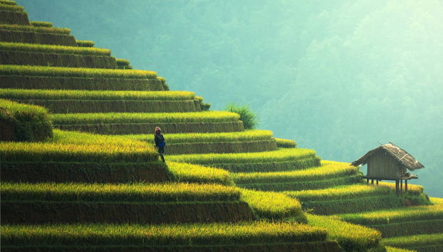 Sapa Rice Terrace Trekking - Photo 2