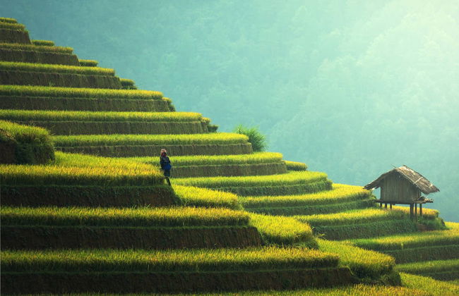 Sapa Rice Terrace Trekking - Photo 2