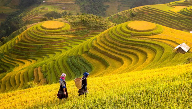 Sapa Rice Terrace Trekking - Photo 3