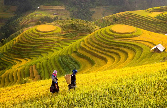 Sapa Rice Terrace Trekking - Photo 3