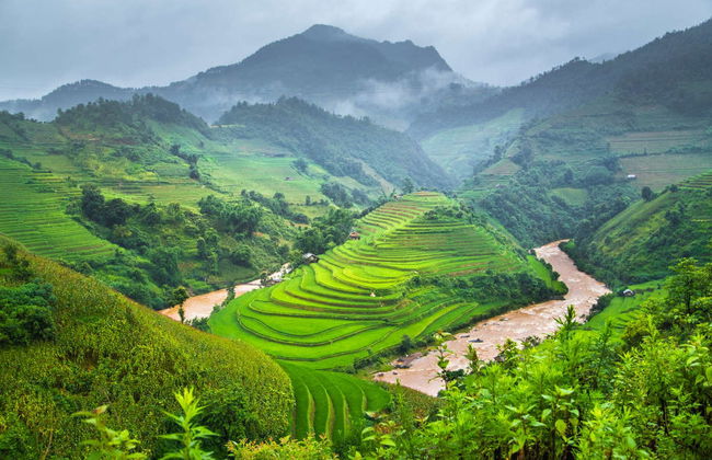 Sapa Rice Terrace Trekking - Photo 1