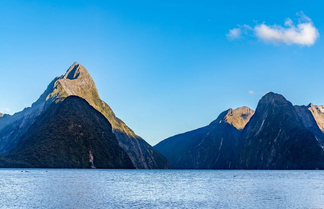 Excursion dans le fjord Milford Sound - Photo 4