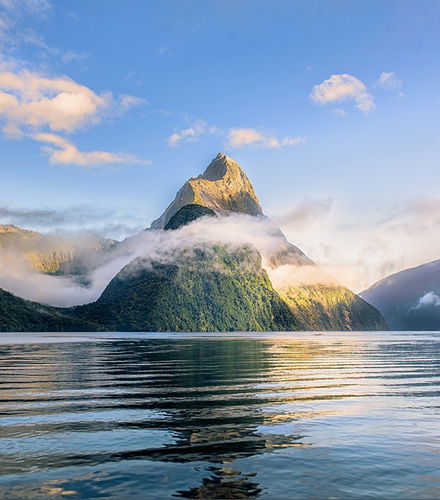 Foto de Excursión al fiordo Milford Sound