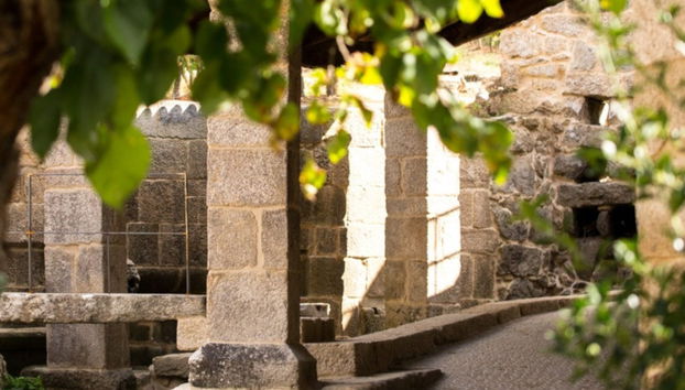 Visita a la bodega Pazo de Toubes - Foto 3