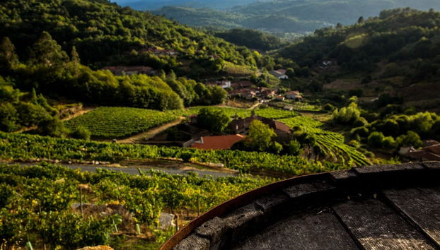 Visita a la bodega Pazo de Toubes - Foto 5
