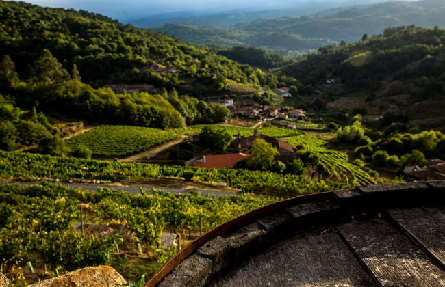 Visita a la bodega Pazo de Toubes - Foto 5