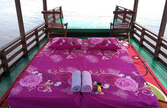 Private Borneo Cruise and Orangutan Sighting - Photo 8