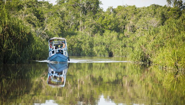 Private Borneo Cruise and Orangutan Sighting - Foto 3