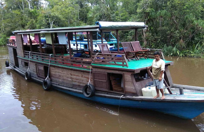 Private Borneo Cruise and Orangutan Sighting - Photo 9