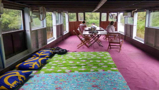 Private Borneo Cruise and Orangutan Sighting - Foto 5