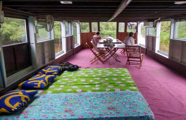 Private Borneo Cruise and Orangutan Sighting - Photo 5