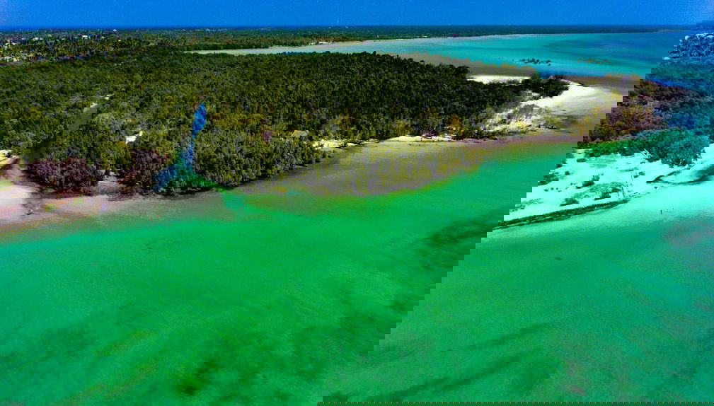 Excursão à península de Michamvi - Foto 1