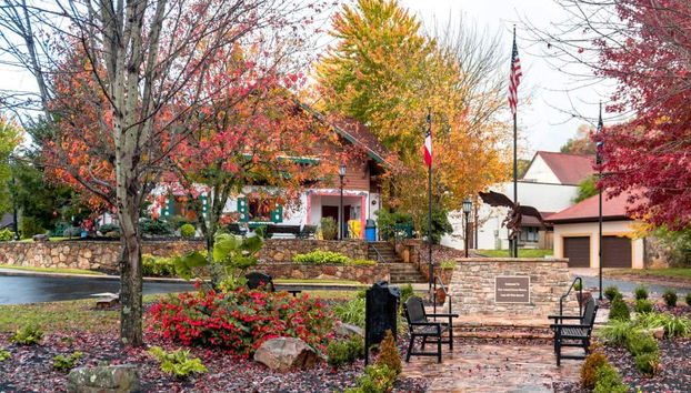 Tour de viñedos y bodegas por el norte de Georgia - Foto 4