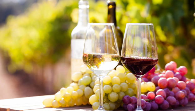 Tour de viñedos y bodegas por el norte de Georgia - Foto 2