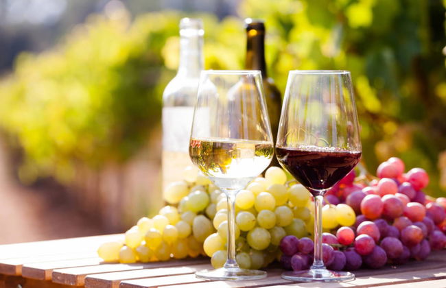 Tour de viñedos y bodegas por el norte de Georgia - Foto 2