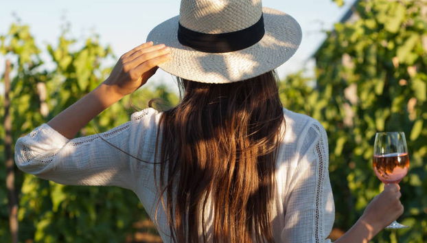 Tour de viñedos y bodegas por el norte de Georgia - Foto 5