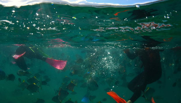 Moreton Island Trip - Photo 3