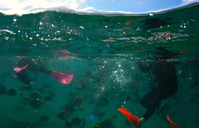 Excursión a Moreton Island - Foto 3
