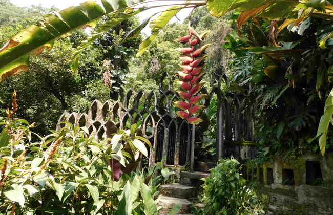Xilitla Trip - Photo 8