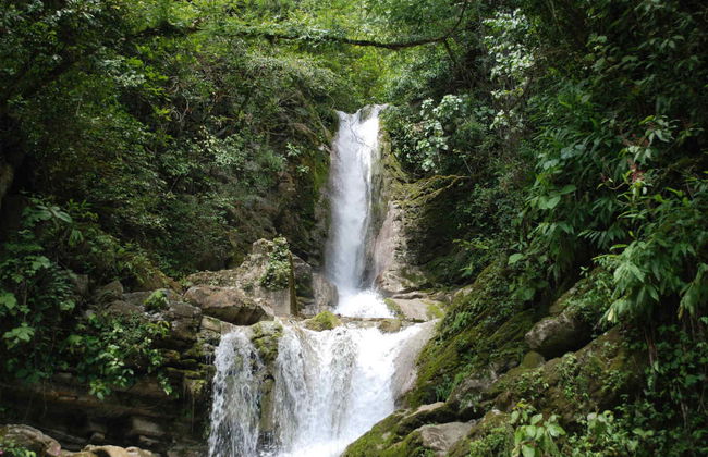 Xilitla Trip - Photo 6