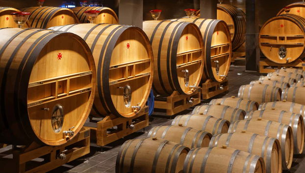 Tour do champanhe por Reims - Foto 5