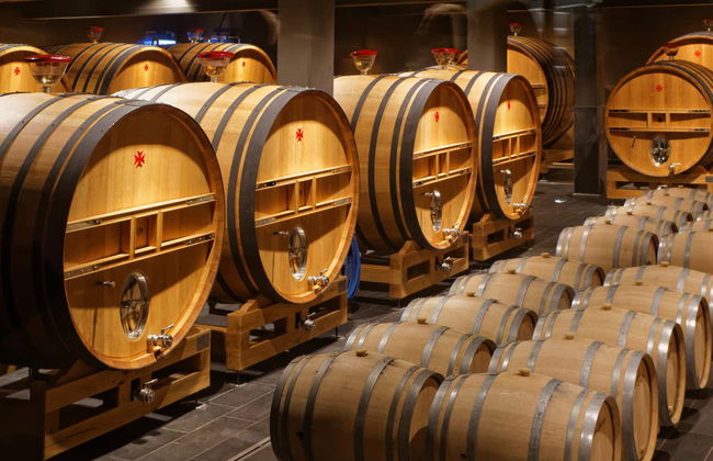 Tour do champanhe por Reims - Foto 5