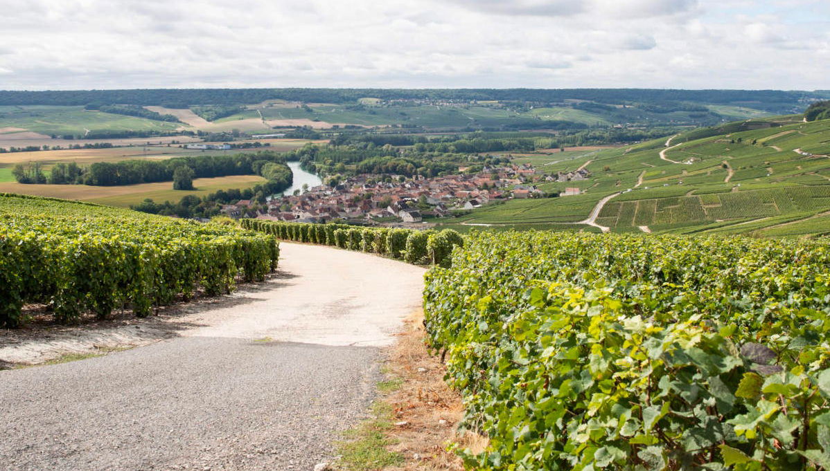 Tour do champanhe por Reims - Foto 1