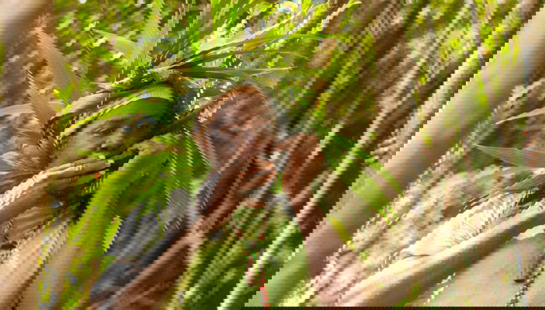 Excursión a un pueblo cimarrón - Foto 1