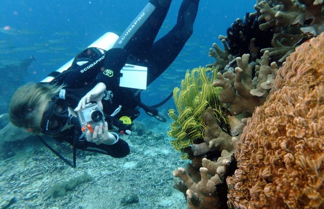 Buceo en Nusa Lembongan - Foto 3