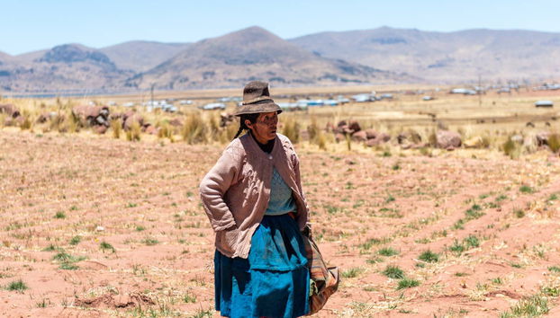 Excursión privada a Aramu Muru - Foto 5
