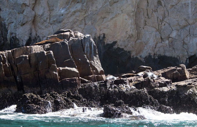 Kayak e snorkeling a Los Cabos - Foto 18