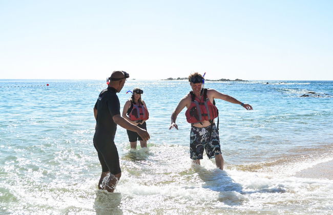 Kayak e snorkeling a Los Cabos - Foto 24