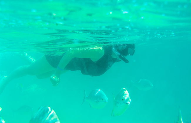 Kayak e snorkeling a Los Cabos - Foto 26