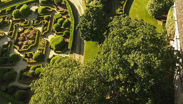 Visita guidata del Pazo de Rubianes - Foto 5