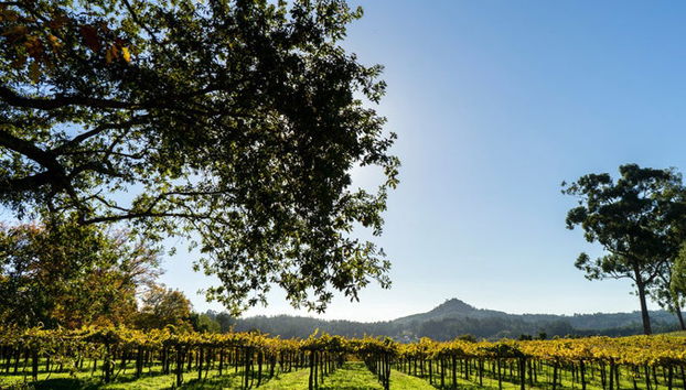Visita guidata del Pazo de Rubianes - Foto 3