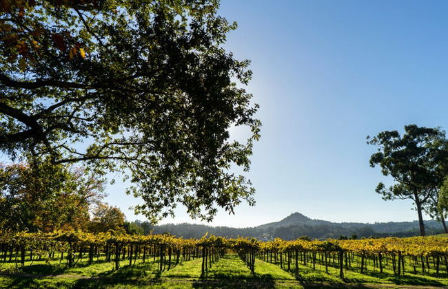 Visita guiada por el Pazo de Rubianes - Foto 3