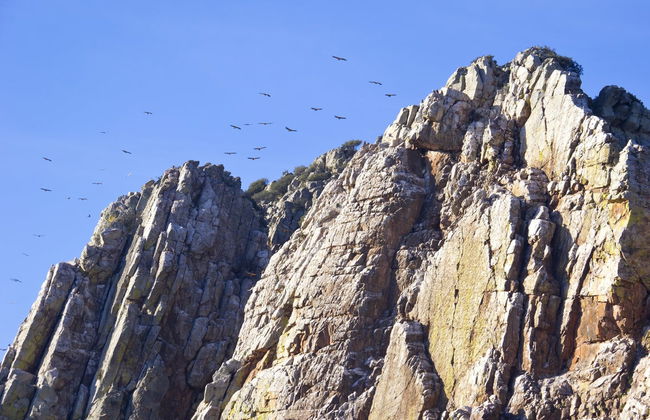 Excursión a Monfragüe - Foto 3