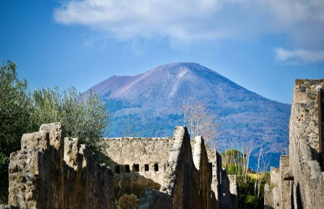 Mt. Vesuvius Hike - Photo 6
