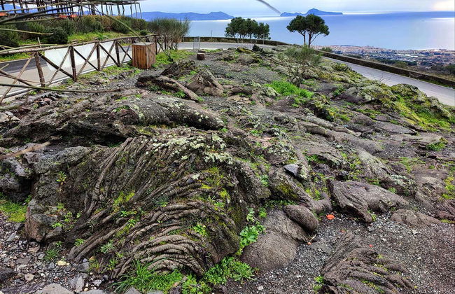 Mt. Vesuvius Hike - Foto 3