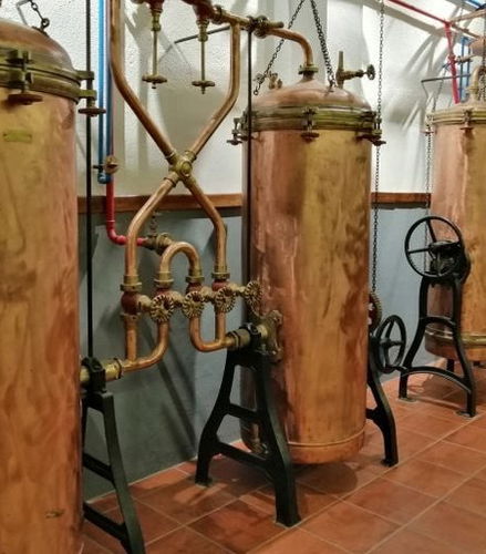 Foto de Tour del vino por la región del Dão