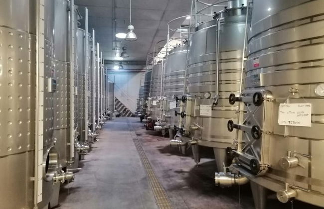 Tour del vino nella regione del Dão - Foto 7