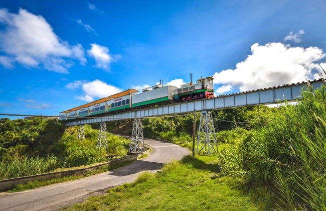 Saint Kitts Tourist Train & Bus - Photo 6