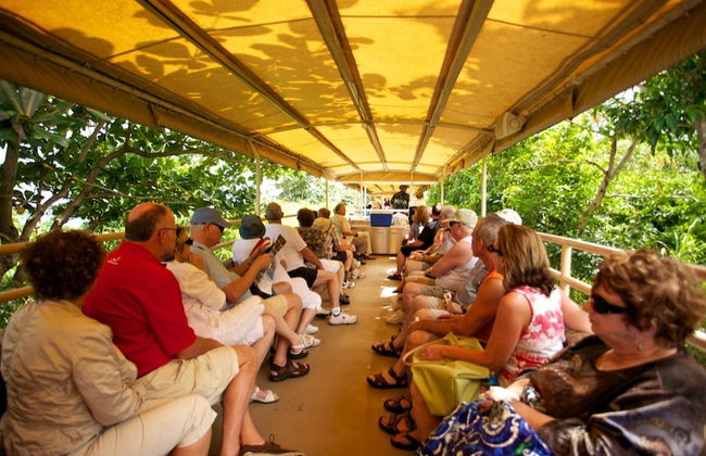 Saint Kitts Tourist Train & Bus - Photo 4