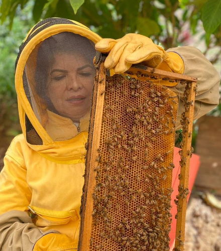 Foto de Tour de la miel por Jardín