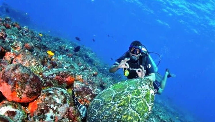 Immersione per principianti a Fernando de Noronha - Foto 1