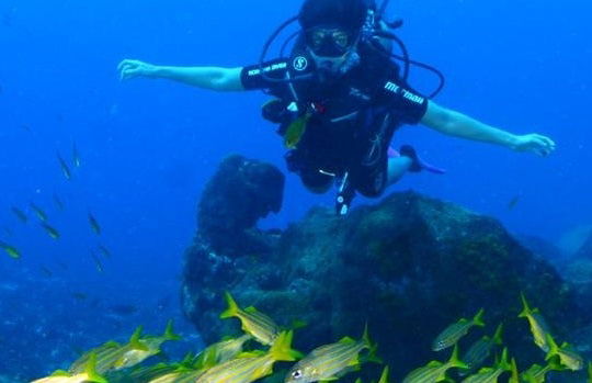 Bautismo de buceo en el Parque Nacional Marino Fernando de Noronha - Foto 7